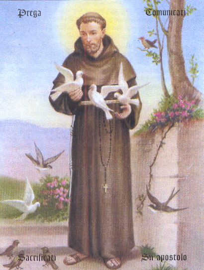 sfrancescoassisi